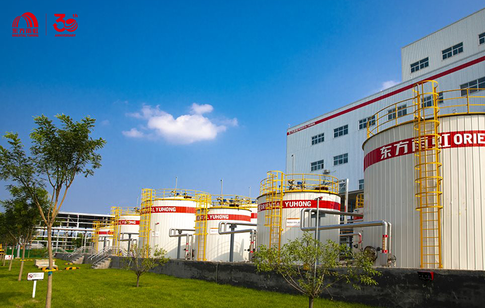 ˳ӯ����-����ƽ̨,ע�ᳩ����Ԫѡ��!